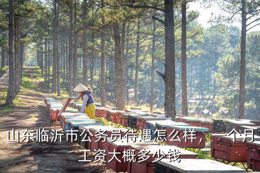 山東臨沂村長工資多少,山東臨沂市公務員待遇怎么樣