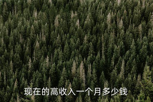 杭州巨星一個月工資多少錢,現在的高收入一個月多少錢