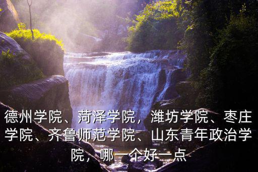 德州學院、菏澤學院，濰坊學院、棗莊學院、齊魯師范學院、山東青年政治學院，哪一個好一點