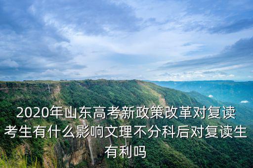 山東2020年復讀生有多少,我是山東考生