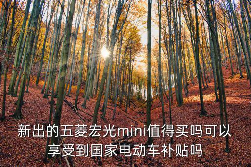 青島買新能源汽車補貼多少,補貼標準是多少