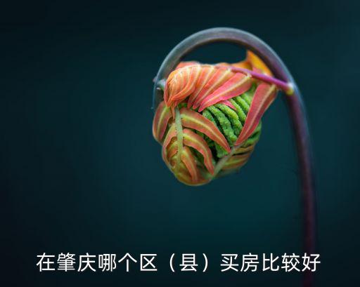 肇慶鼎湖區(qū)哪里房子好,高要南岸哪里買房好