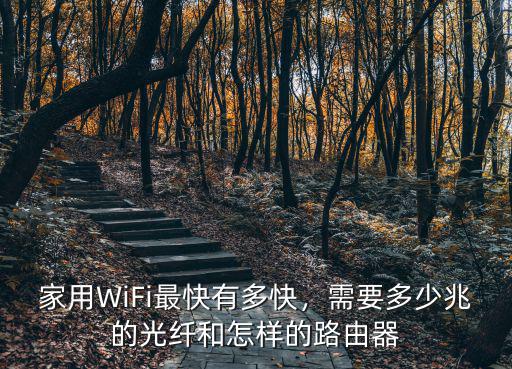 東莞網(wǎng)速多少最快,Fi最快有多快