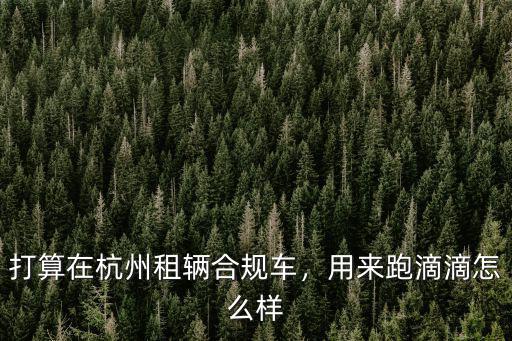 打算在杭州租輛合規車，用來跑滴滴怎么樣