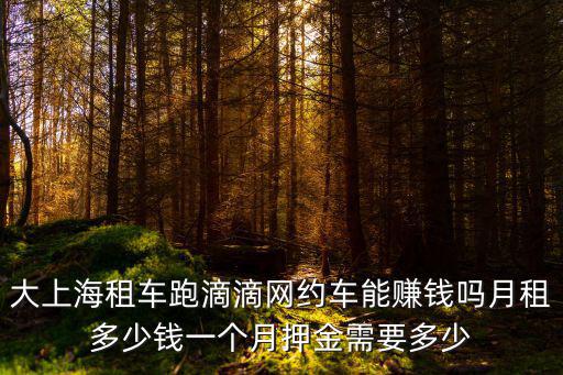 杭州到上海滴滴多少錢一個月,新手一個月能賺多少錢
