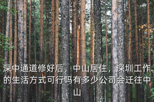 深圳中山通道在哪里規劃,深中通道建成后