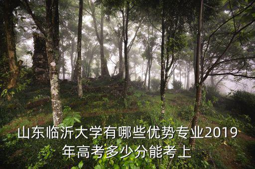 臨沂大學多少分可以上,臨沂大學分校怎么樣
