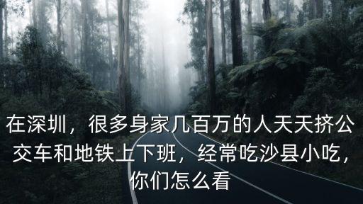 在深圳有多少人擠公交車,今年深圳有1700多萬人