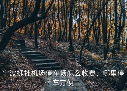 寧波飛機停車場多少錢一天,寧波櫟社機場停車場怎么收費