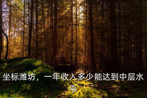 坐標(biāo)濰坊，一年收入多少能達(dá)到中層水平