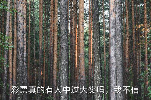 山東有多少人買彩票中過大獎,彩票真的有人中過大獎嗎