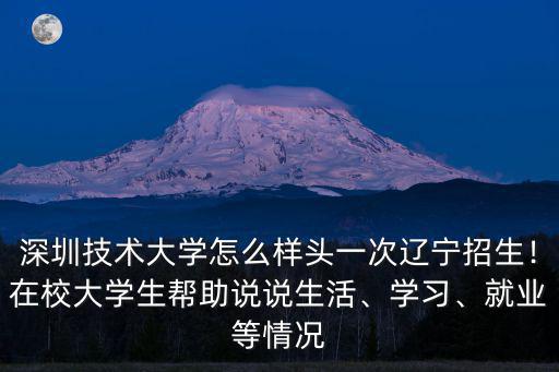 深圳技術(shù)大學(xué)投資多少錢,深圳技術(shù)大學(xué)怎么樣