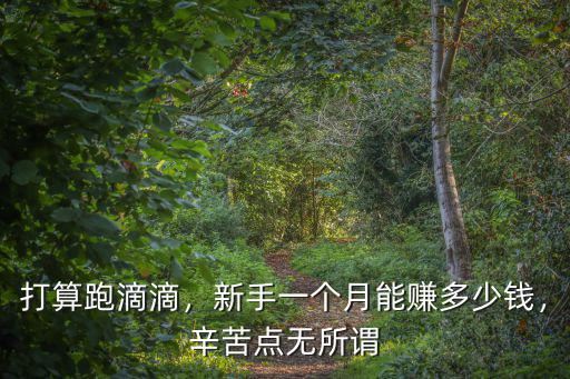 杭州市滴滴司機一個月能賺多少錢,現在做滴滴的司機收入怎么樣