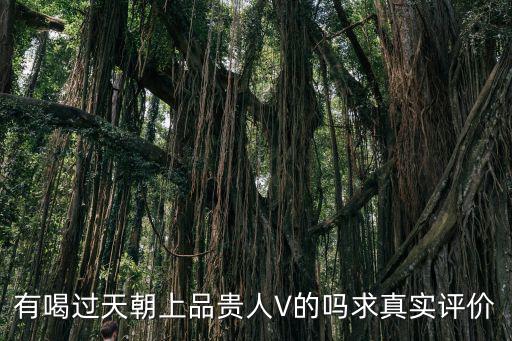 深圳哪里有天朝上品貴人酒,茅臺天朝上品是什么工藝的酒