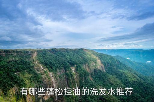 有哪些蓬松控油的洗發水推薦