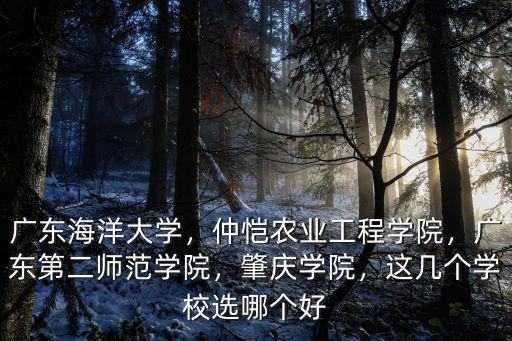 廣東海洋大學(xué)錄取排名多少,廣東海洋大學(xué)