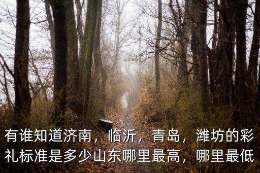 濰坊現在的彩禮是多少,現在濰坊壽光彩禮多少啊