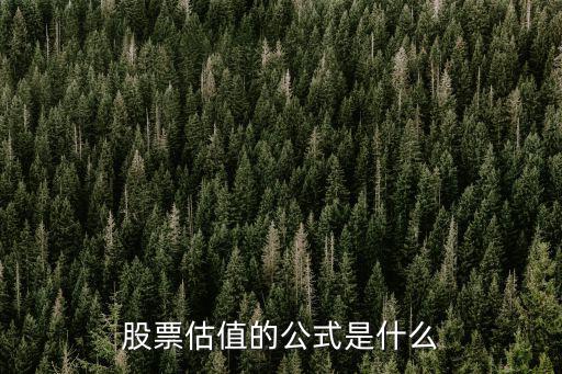 股票青島食品的估值是多少,股票估值的公式是什么