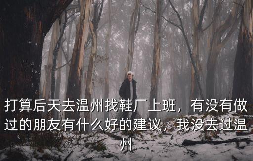 溫州大東鞋廠工資多少,我沒去過溫州