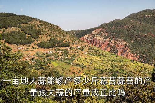 山東一畝地蒜能出多少蒜苔,一畝地能出多少蒜苔