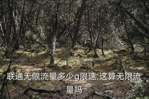 山東聯通無限流量多少g限速,這算無限流量嗎
