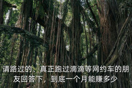 廣州跑滴滴一個月能掙多少錢一個月,到底一個月能賺多少