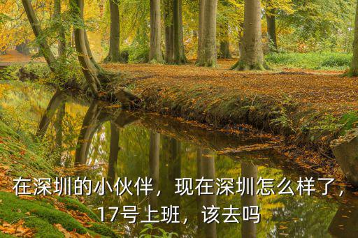 在深圳的小伙伴，現在深圳怎么樣了，17號上班，該去嗎