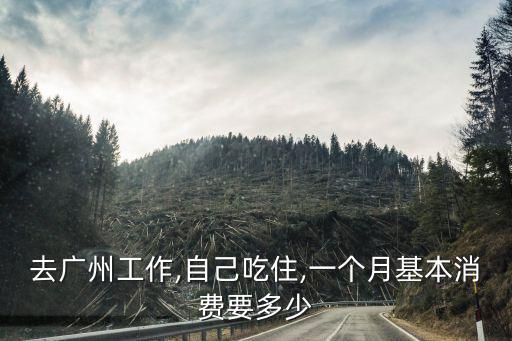 在廣州一個月花多少錢啊,在廣州做廣漂一族