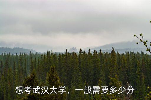 想考武漢大學，一般需要多少分