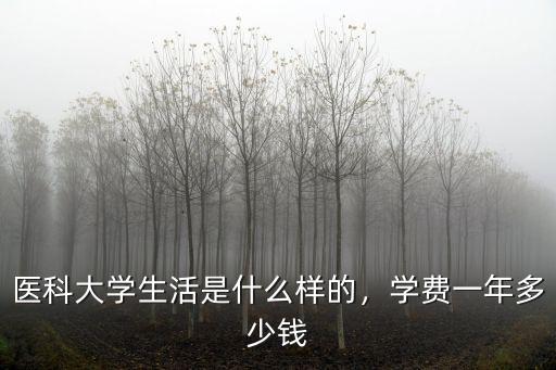 廣東醫(yī)科大一年學費多少,醫(yī)科大學生活是什么樣的