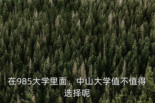 中山大學里面的音樂專業怎么樣,中山大學的哪些專業比較好