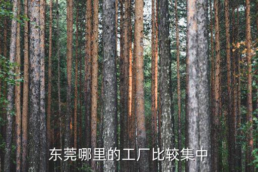 公司在東莞哪個位置在哪里,東莞市區在哪里