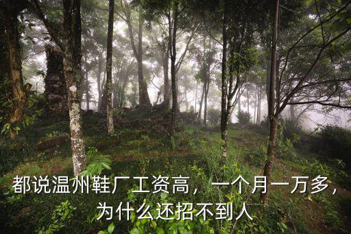 都說溫州鞋廠工資高，一個月一萬多，為什么還招不到人