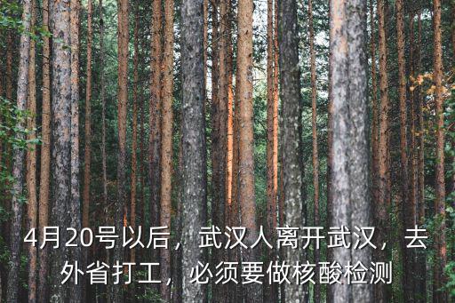 4月20號以后，武漢人離開武漢，去外省打工，必須要做核酸檢測