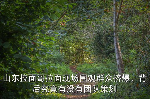 山東拉面哥拉面一碗賺多少錢,會引起全國拉面降價嗎