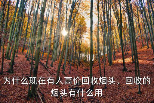 為什么現在有人高價回收煙頭，回收的煙頭有什么用