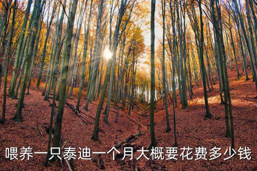 喂養一只泰迪一個月大概要花費多少錢
