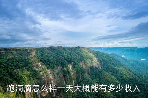 跑滴滴怎么樣一天大概能有多少收入