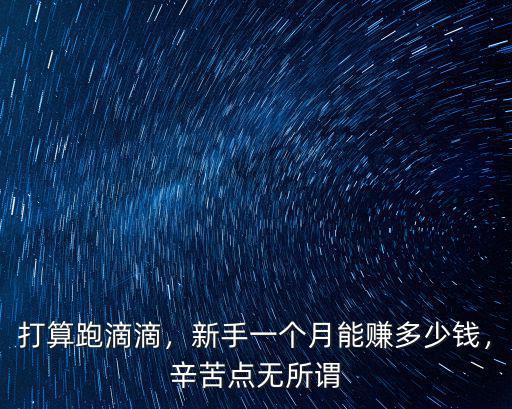 打算跑滴滴，新手一個(gè)月能賺多少錢，辛苦點(diǎn)無所謂