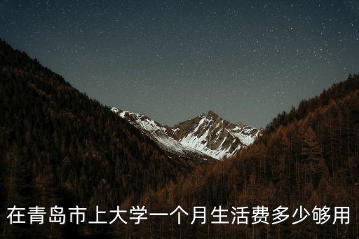 在青島市上大學一個月生活費多少夠用