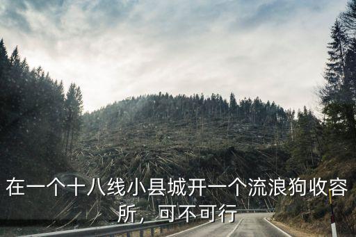 在一個十八線小縣城開一個流浪狗收容所，可不可行