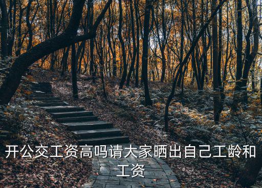 金華南司機(jī)工資多少,開公交工資高嗎