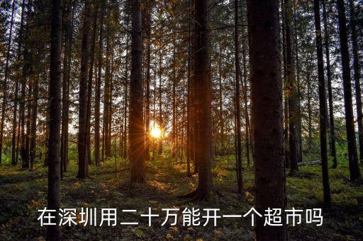在深圳用二十萬能開一個超市嗎