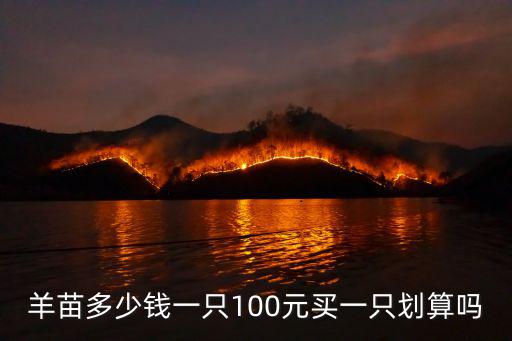 羊苗多少錢一只100元買一只劃算嗎