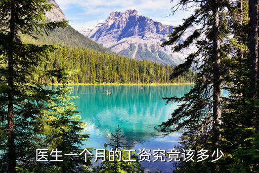 醫生一個月的工資究竟該多少