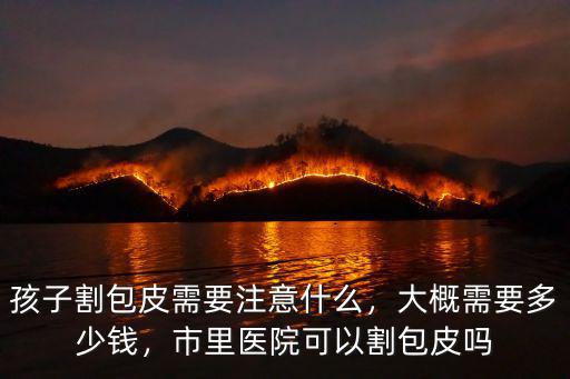 嘉興市醫(yī)院割包皮多少錢,市里醫(yī)院可以割包皮嗎