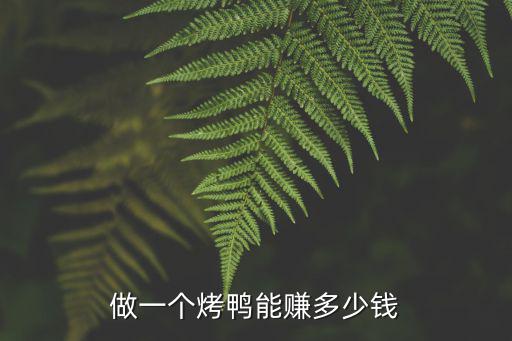 深圳做鴨能賺多少錢6,做一個烤鴨能賺多少錢