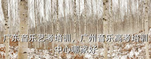 廣州哪里的聲樂培訓比較好,廣州音樂高考培訓中心哪家好