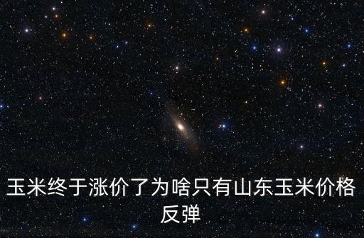 山東玉米淀粉價格是多少,淀粉價格持續上漲