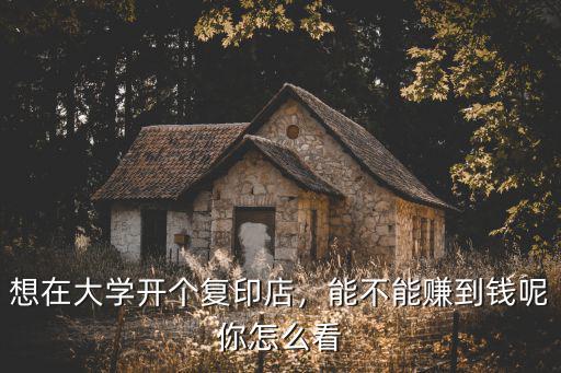 臨沂大學復印店多少錢,想在大學開個復印店